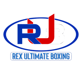 RUB Unltimate Boxing